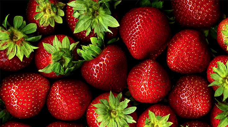 Erdbeeren: lecker und gesund